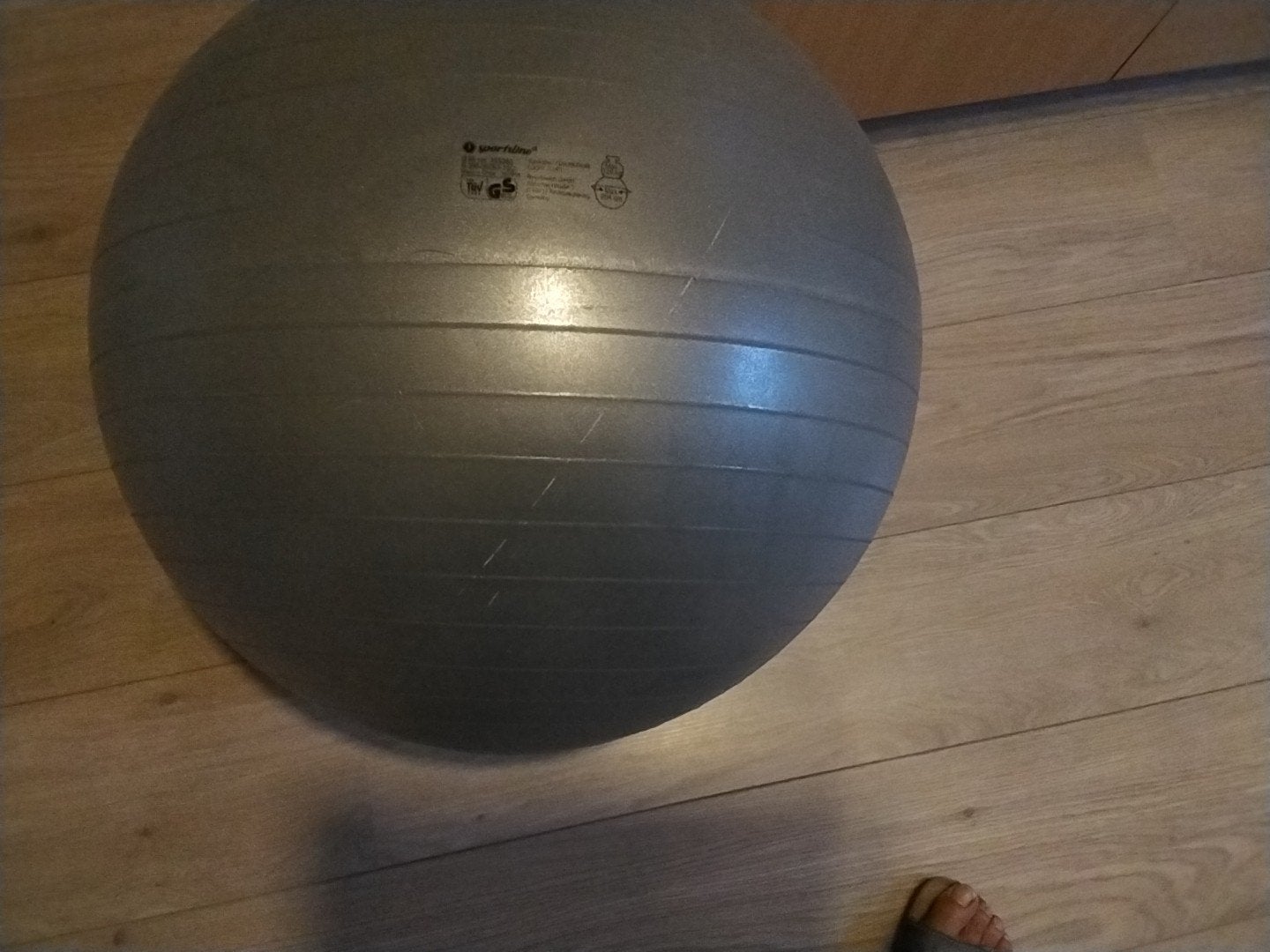 Sportsline Fitnessbal 65 cm - Grijs, Ophalen of Verzenden