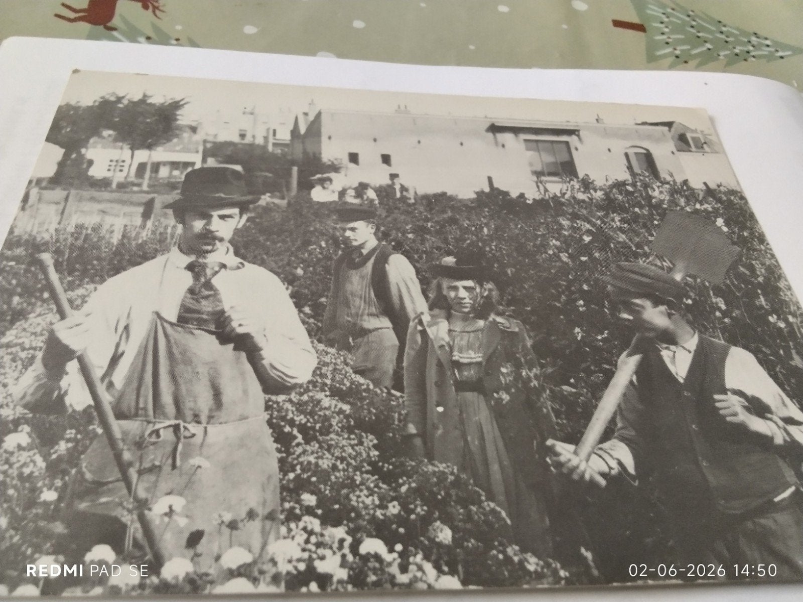 Reproductie Gemeente Archief - Bloemkwekerij Vis 1895, Ophalen of Verzenden, 1980 tot heden, Noord-Holland