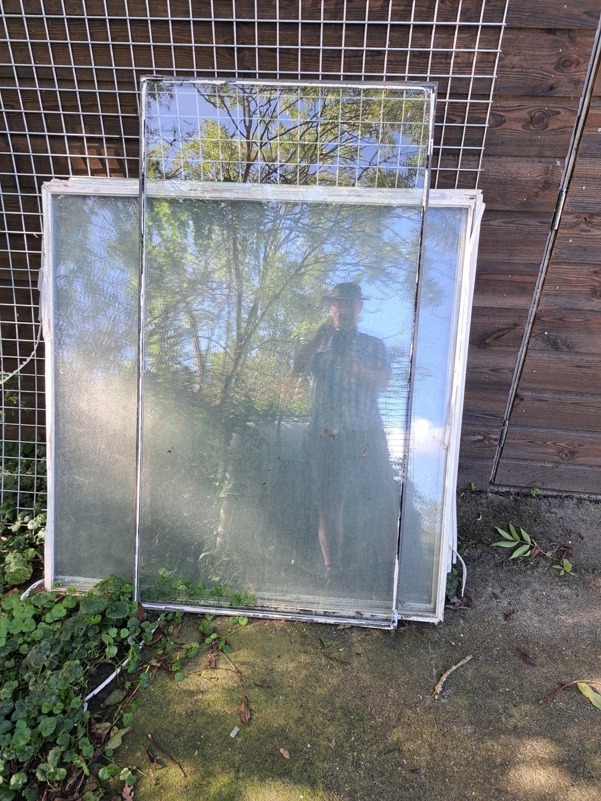 Gratis af te halen: Diverse glasplaten, Ophalen, Gebruikt, 80 tot 120 cm, 80 tot 120 cm