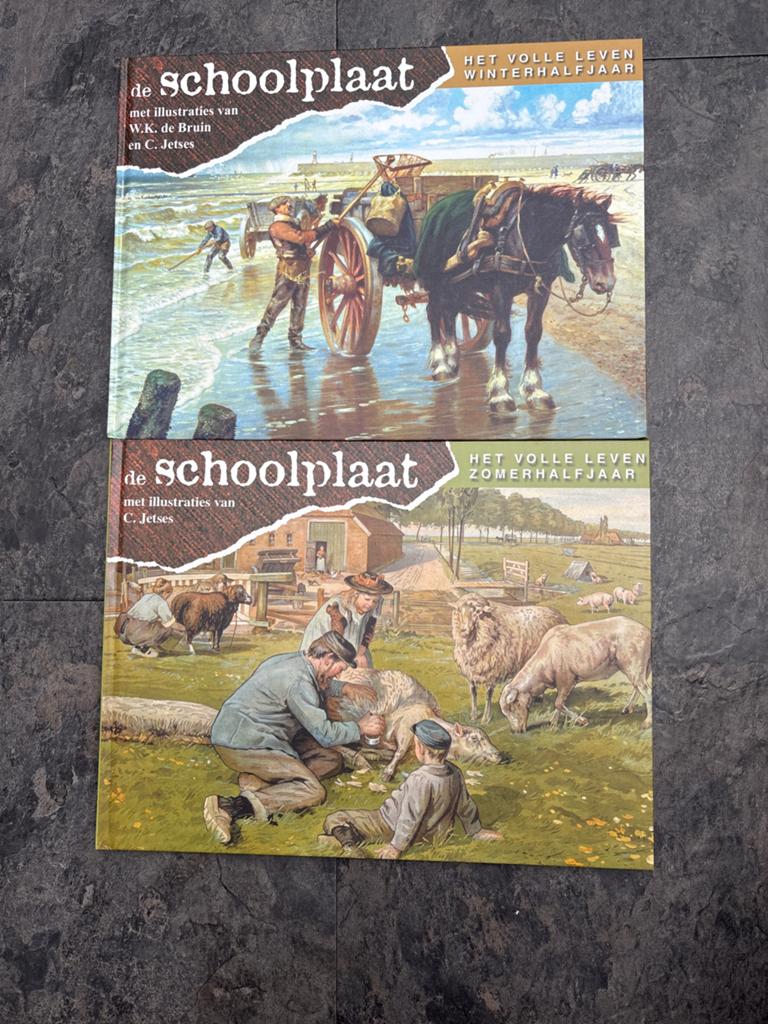De Schoolplaat - Het Volle Leven (Winter- & Zomerhalfjaar), Antiek en Kunst, Ophalen of Verzenden, Geschiedenis