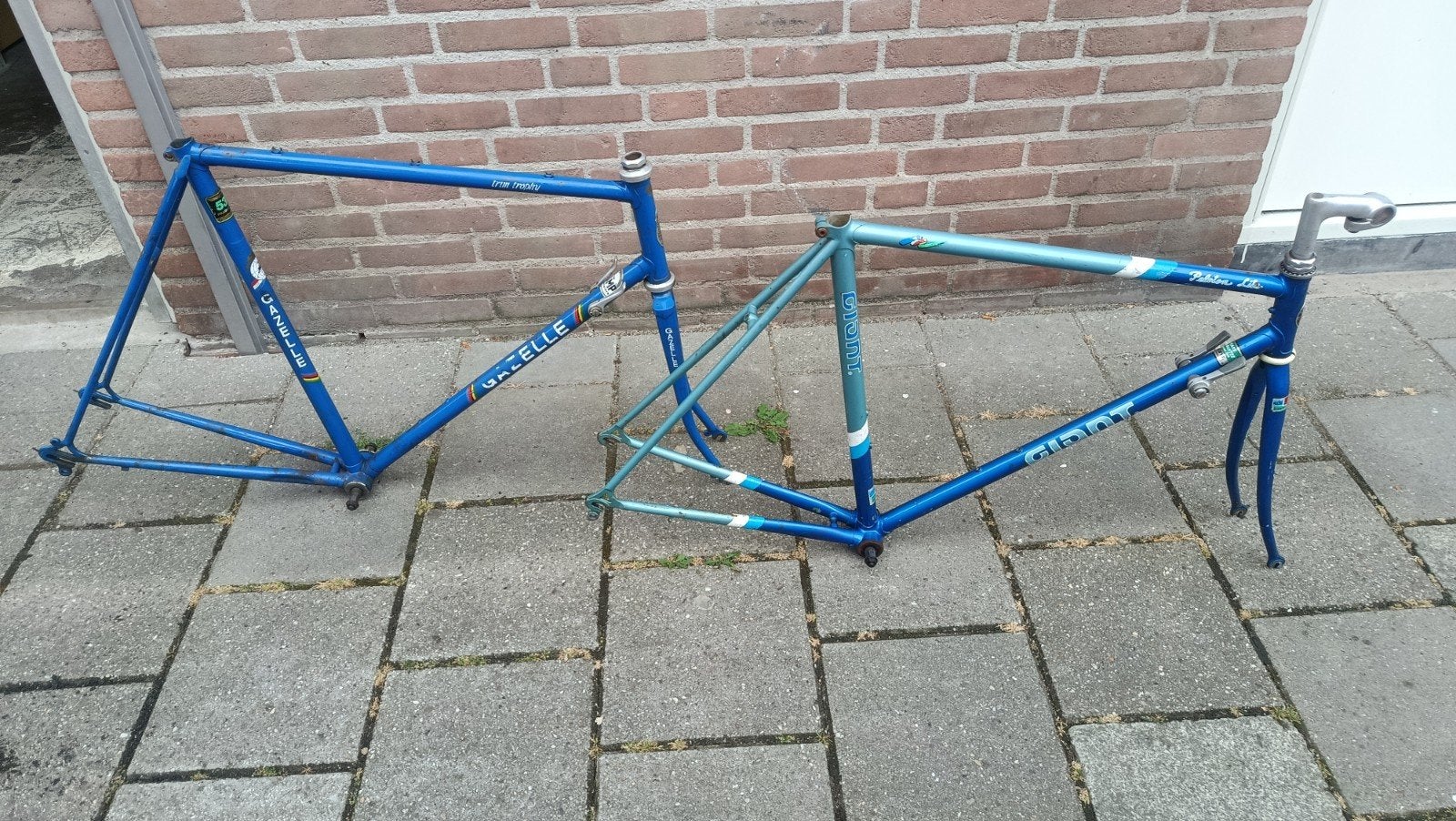 Gazelle Trim Trophy en Giant Peloton Lite racefiets frames, Fietsen en Brommers, Fietsen | Racefietsen, 28 inch, Gebruikt, Ophalen of Verzenden