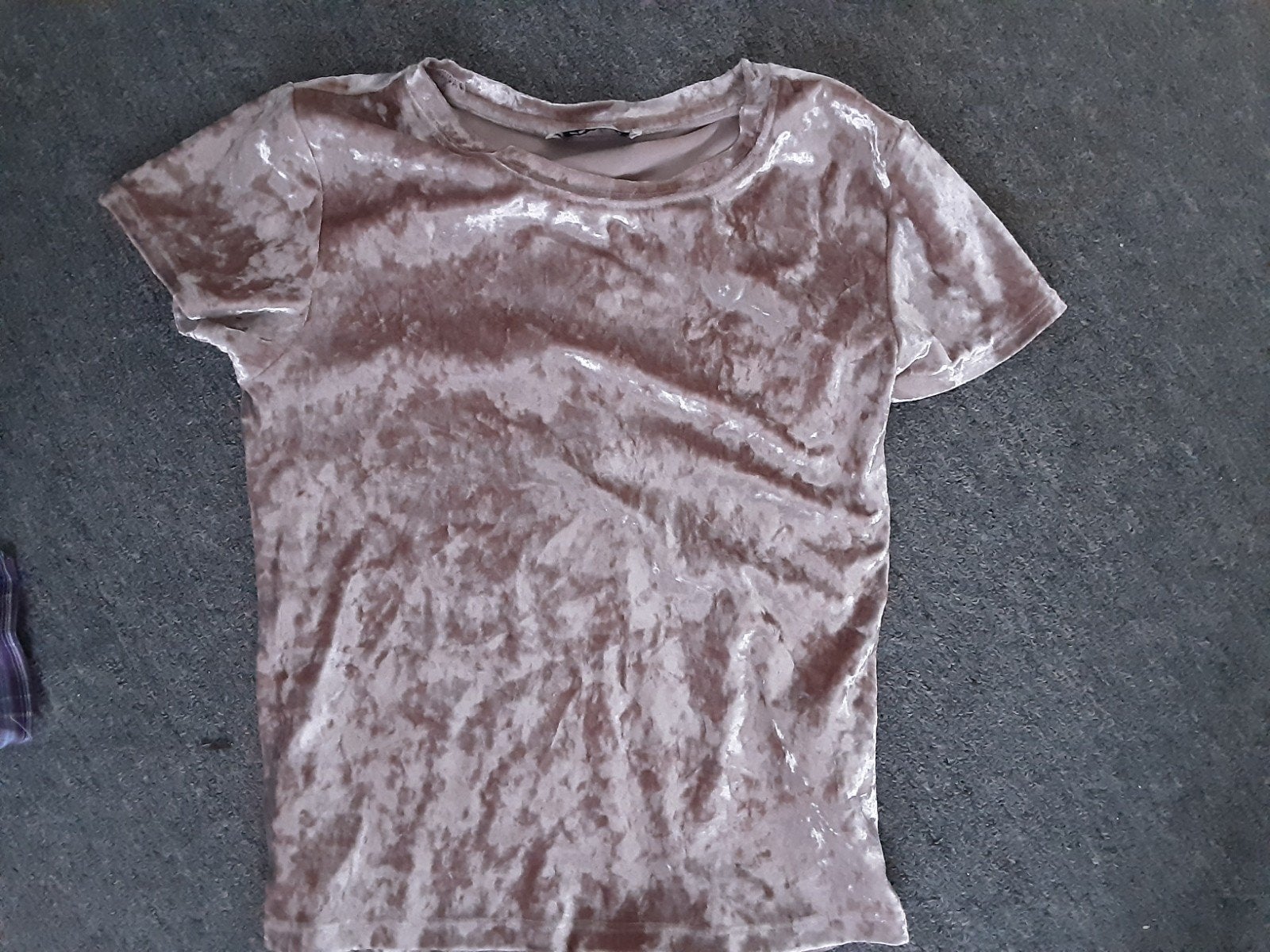 Bruinachtig velours shirt, Kleding | Dames, Bruin, Ophalen of Verzenden, Zo goed als nieuw, Korte mouw