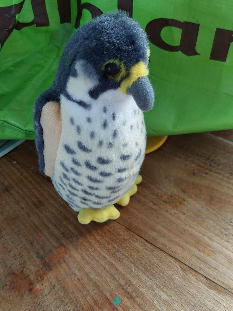Knuffel valk met geluid, Ophalen of Verzenden, Nieuw