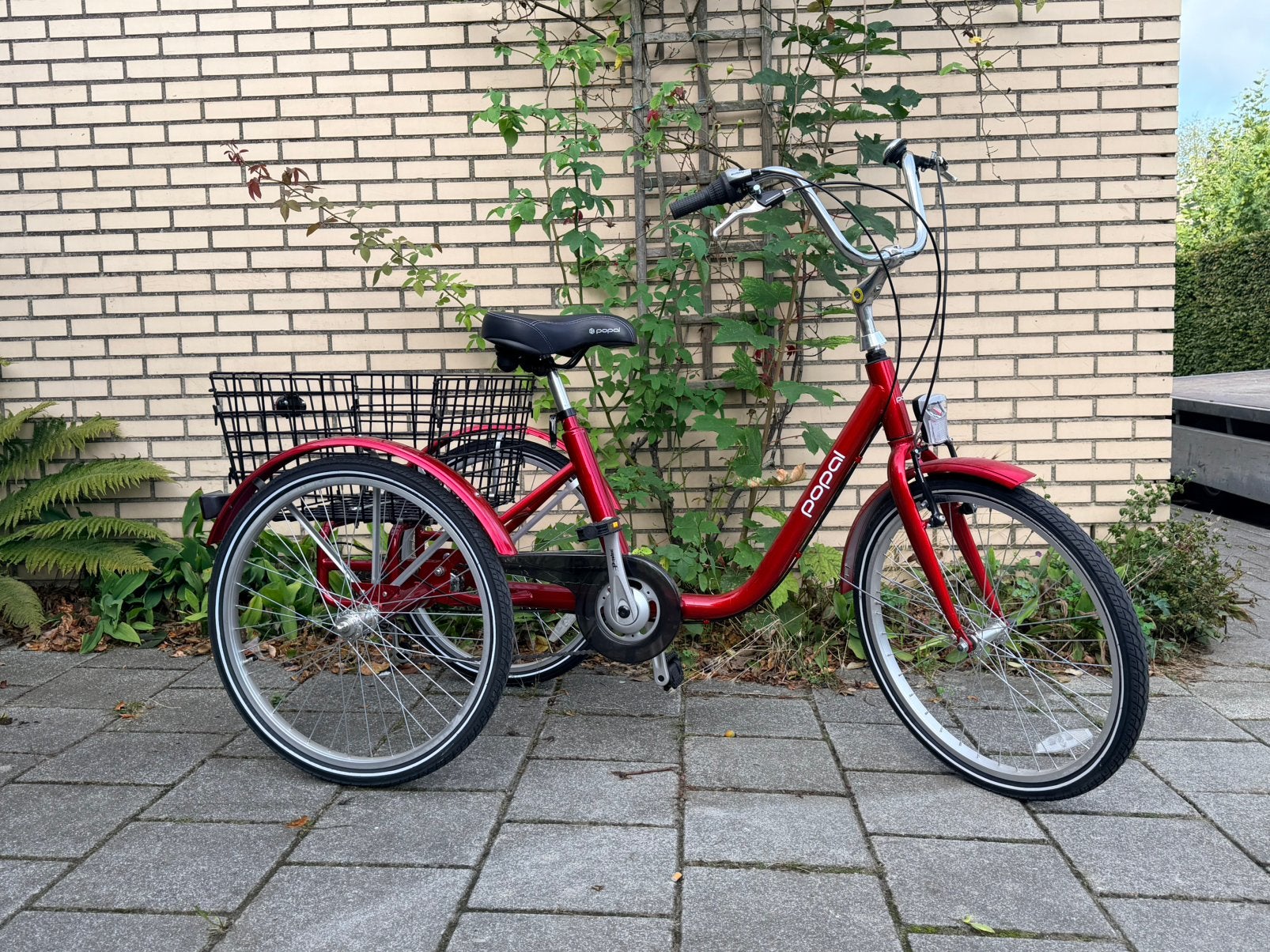 Driewieler Popal, Ophalen, Nieuw