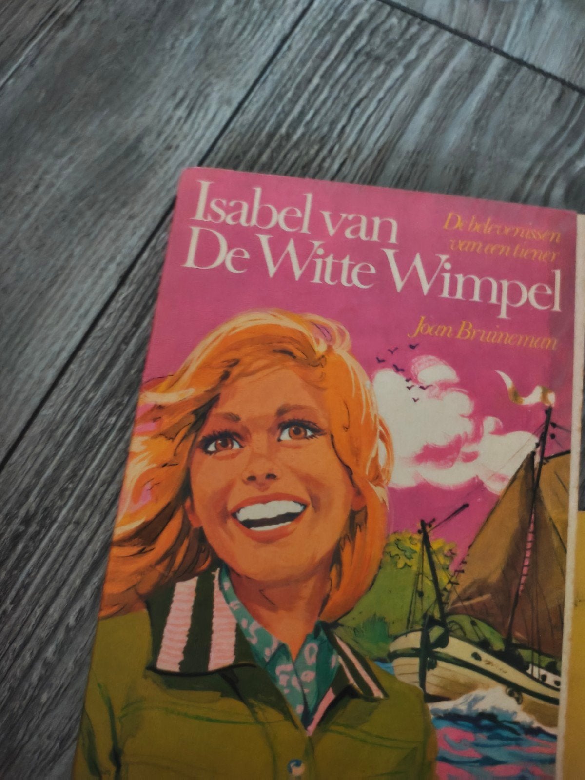 Diverse meisjesboeken uit de jaren '70 en '80, Ophalen of Verzenden, Gelezen, Fictie algemeen