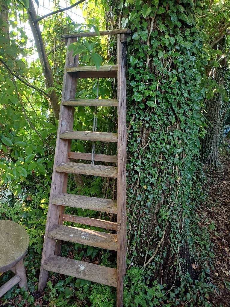 Houten ladder, Ophalen, Gebruikt, Minder dan 2 meter