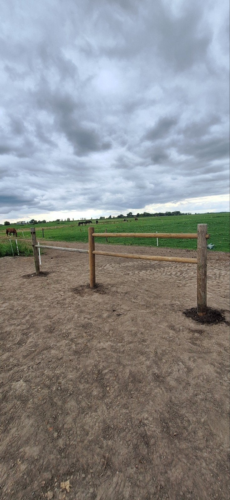 Doorsteekomheining., Dieren en Toebehoren, Paarden en Pony's | Overige Paardenspullen, Ophalen