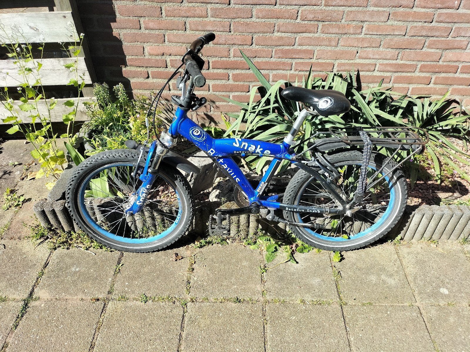 Leuke Batavus Snake 20 inch te koop, Ophalen, Gebruikt, 20 inch of meer
