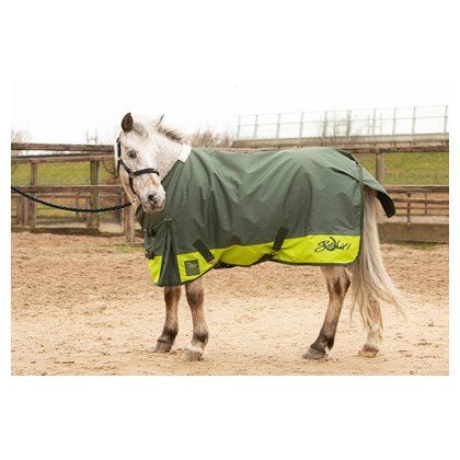 Harry’s horse outdoordeken stout lime nieuw 0 gram 135, Dieren en Toebehoren, Paarden en Pony's | Dekens en Dekjes, Ophalen of Verzenden