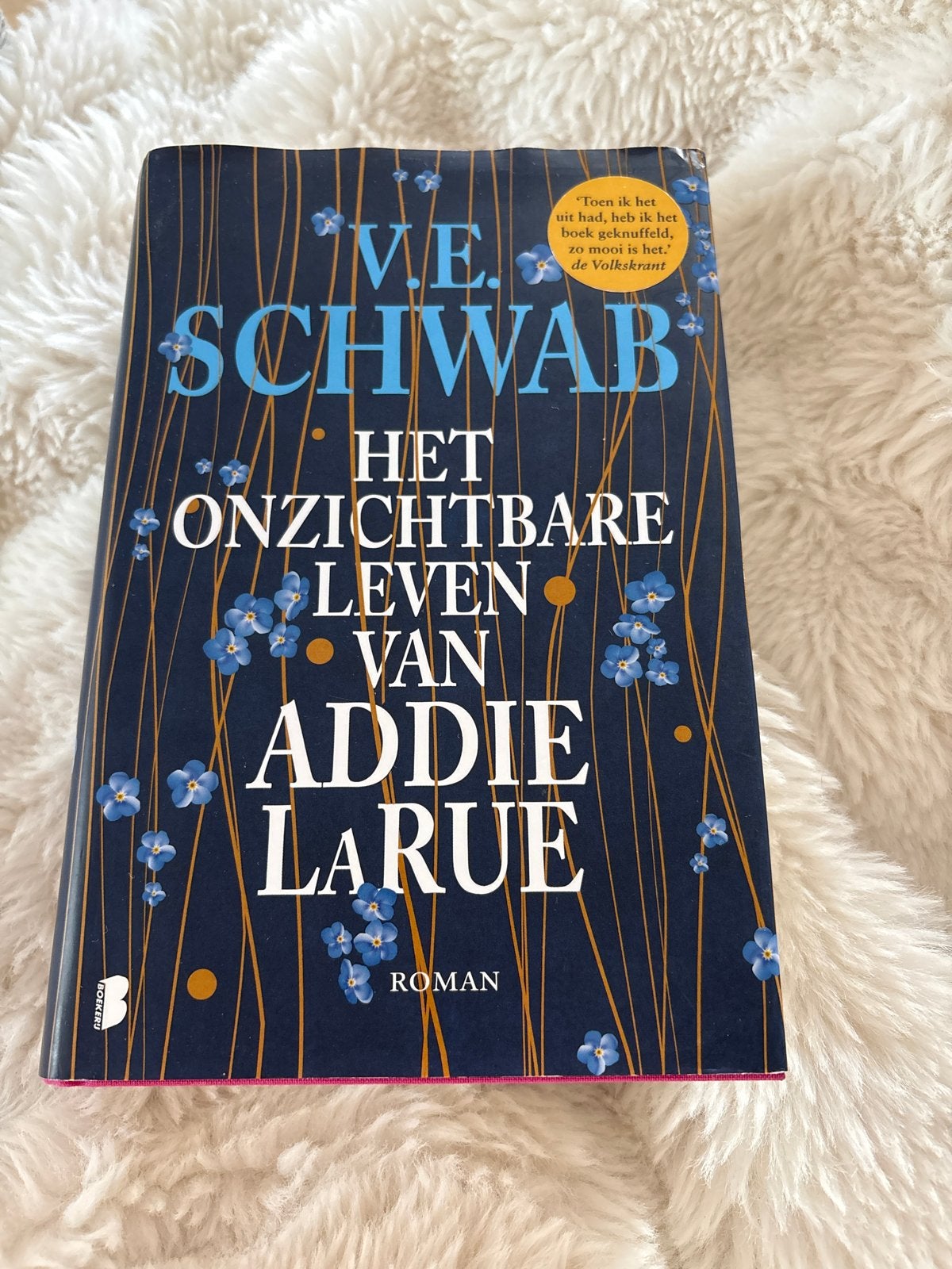 Het Onzichtbare Leven van Addie LaRue - V.E. Schwab, Boeken, Ophalen of Verzenden, Zo goed als nieuw, Nederland