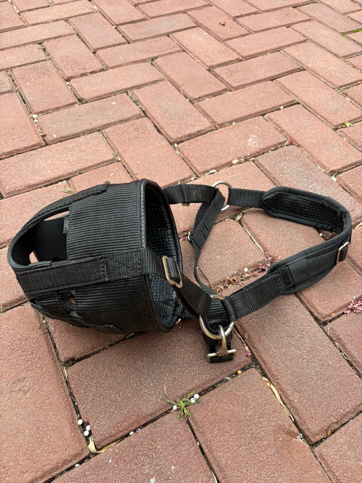 Graasmasker shetlander, Ophalen of Verzenden, Zo goed als nieuw, QHP, Shetlander