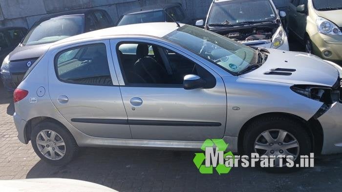 Portier 4Deurs rechts-voor van een Peugeot 206 PLUS (EZR)