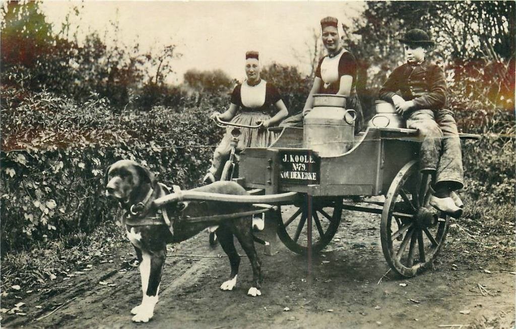 388-511-043 Walcheren, Verzenden, Voor 1920, Zeeland