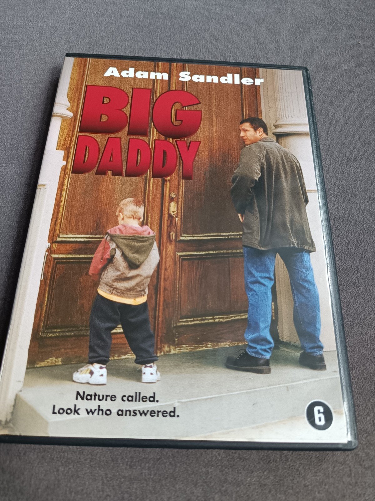 Big daddy - dvd, Alle leeftijden, Ophalen of Verzenden, Zo goed als nieuw, Romantische komedie