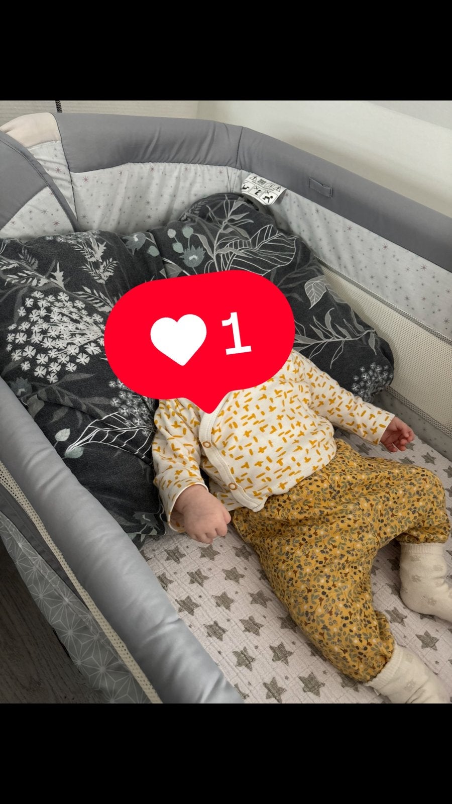 Chicco Next2Me – Co-sleeper / babybedje, Ophalen, Gebruikt