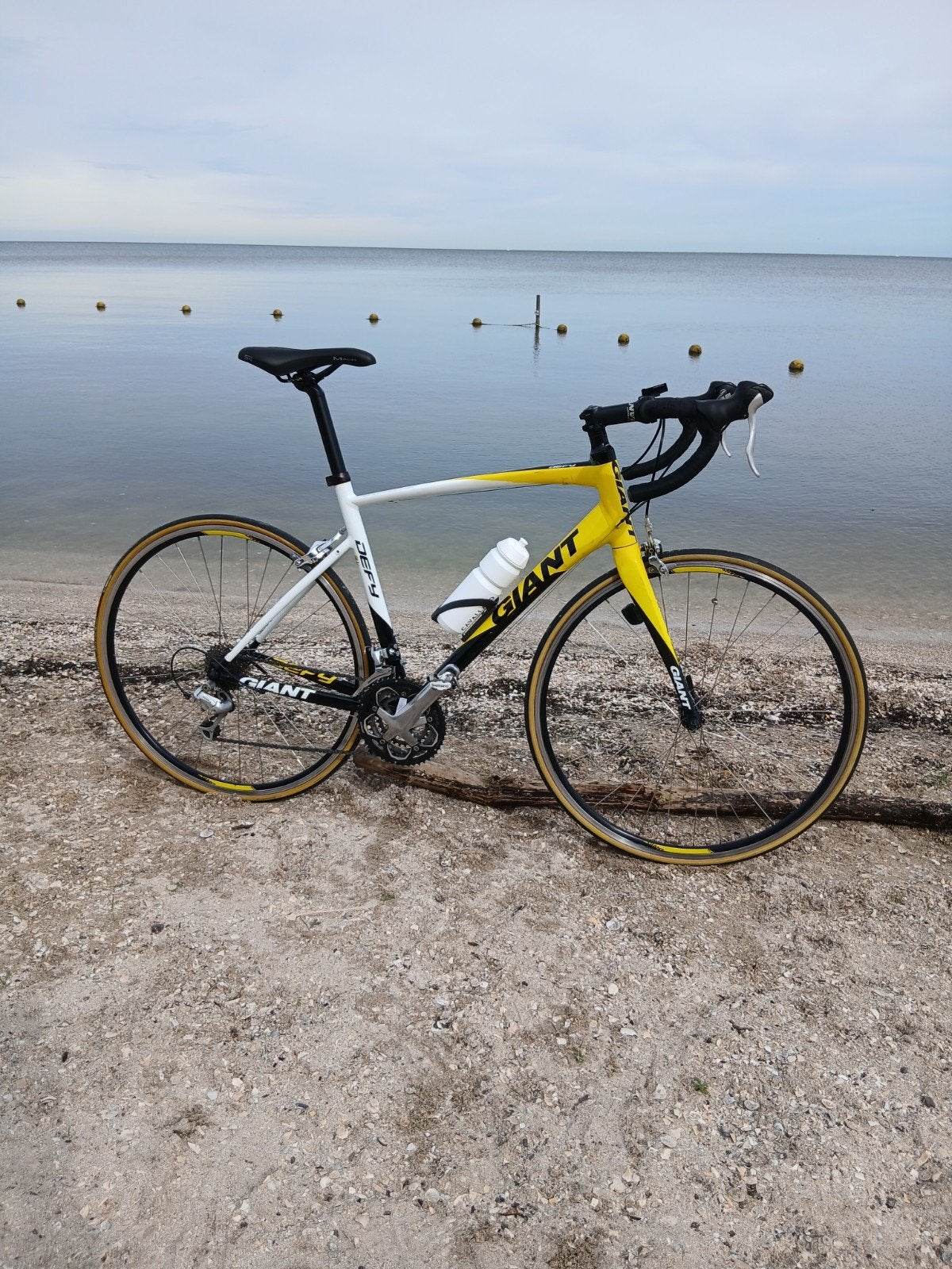 Strakke GIANT Defy maat: M/L allux frame / carbon voorvork, Fietsen en Brommers, Ophalen, 28 inch, Gebruikt, Aluminium