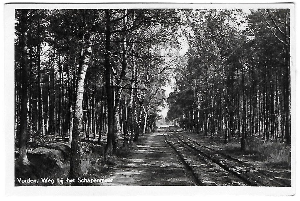 Vorden Bij het Schapenmeer Oude Gelopen Ansichtkaart (B1457, Ophalen of Verzenden, 1960 tot 1980, Gelopen