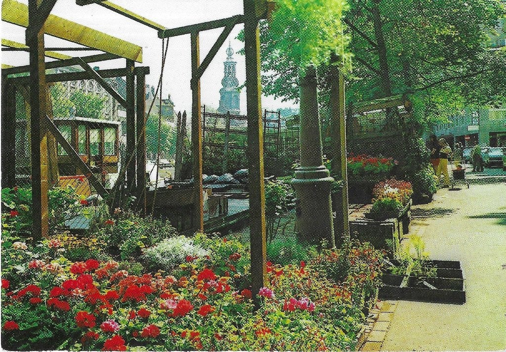 AK Amsterdam - Bloemenmarkt met Munttoren, Verzenden, 1960 tot 1980, Ongelopen, Noord-Holland
