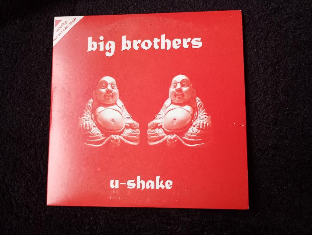 Big Brothers - U-Shake, Ophalen of Verzenden, Gebruikt, Pop