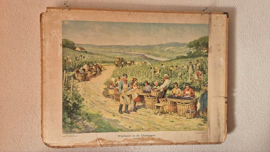 Oude schoolplaat en landkaart, Antiek en Kunst, Ophalen