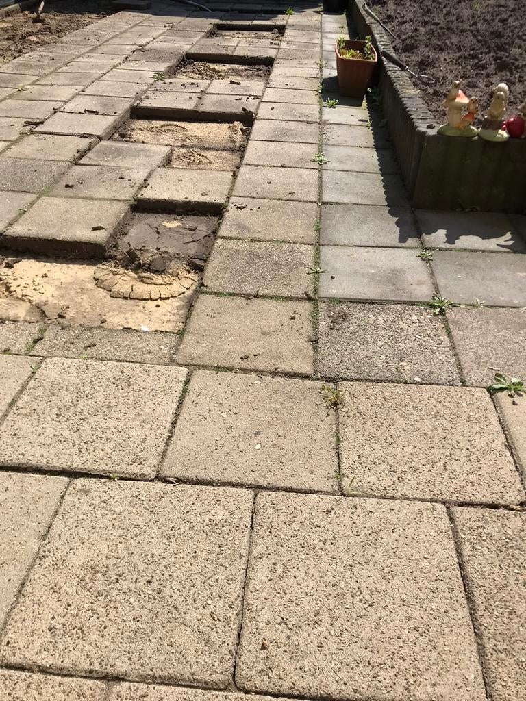 Gratis tegels ophalen 35 m2 in Reuver, Gebruikt, Ophalen of Verzenden, 10 m² of meer, Beton