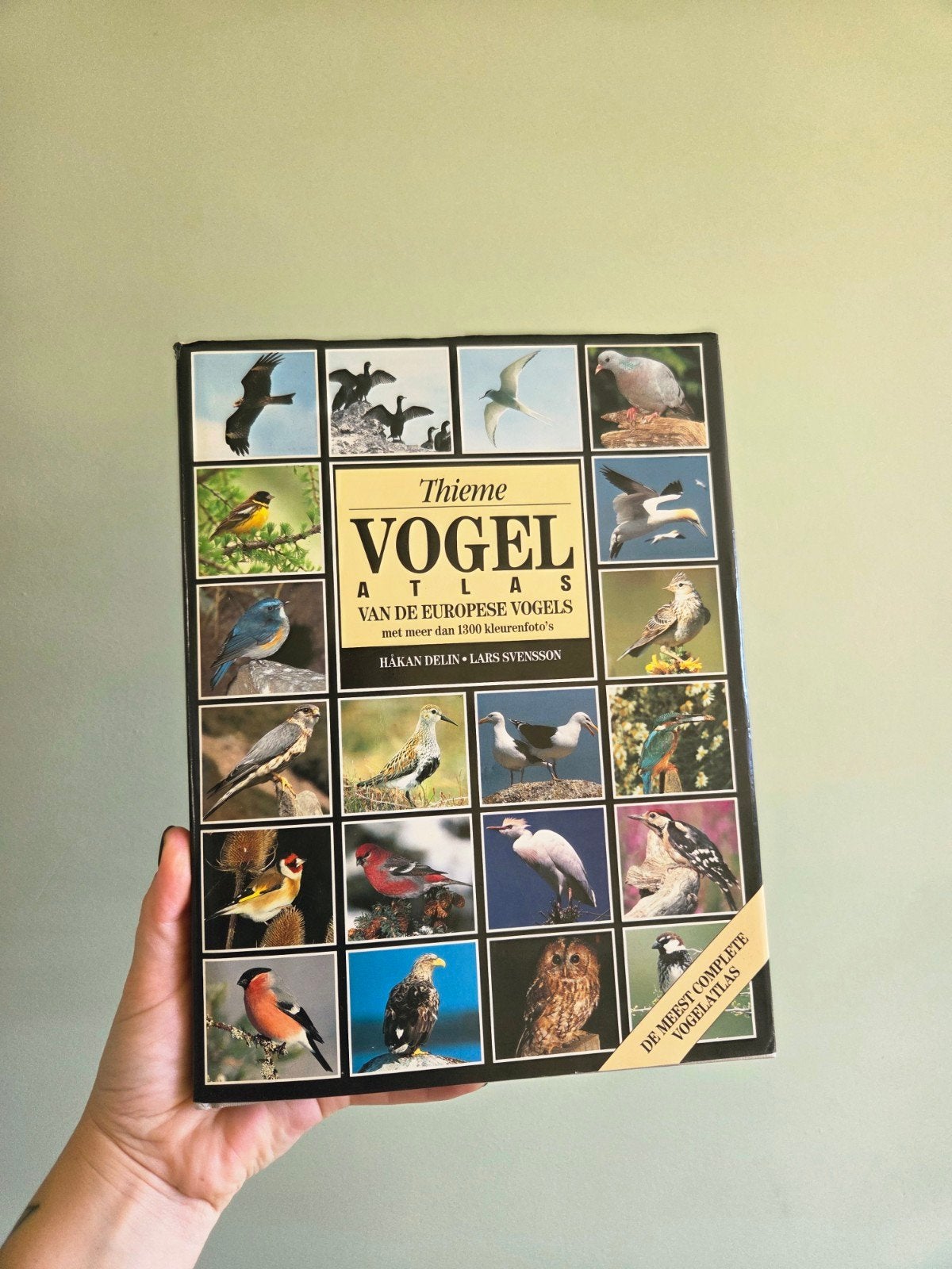 Thieme - Vogelatlas van de europese vogels - 1300 foto's, Boeken, Gelezen, Ophalen of Verzenden, Hakan Delin & Lars Svensson, Vogels