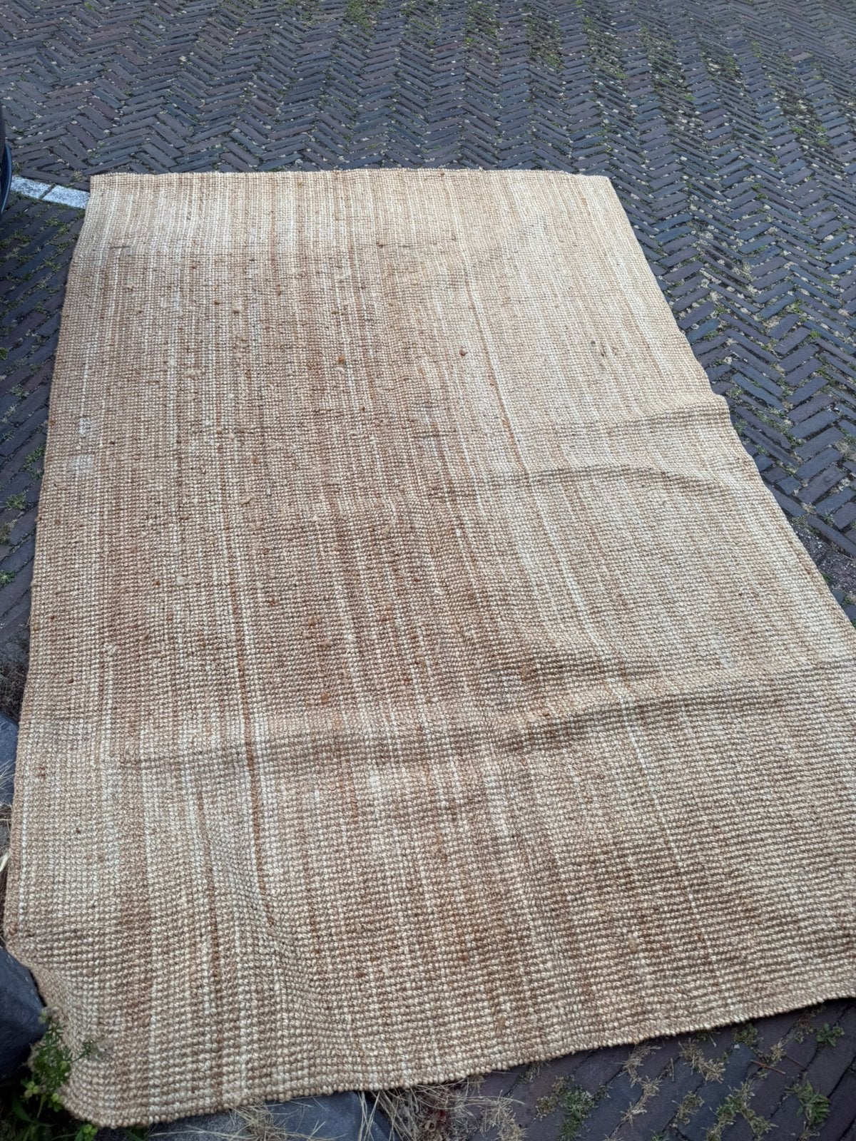 IKEA LOHALS vloerkleed 300 x 200, Ophalen of Verzenden, Gebruikt, Rechthoekig, 200 cm of meer