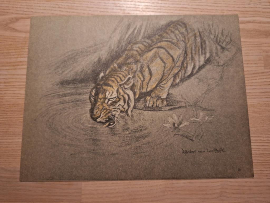 Herbert van der Poll, Litho, Ophalen of Verzenden