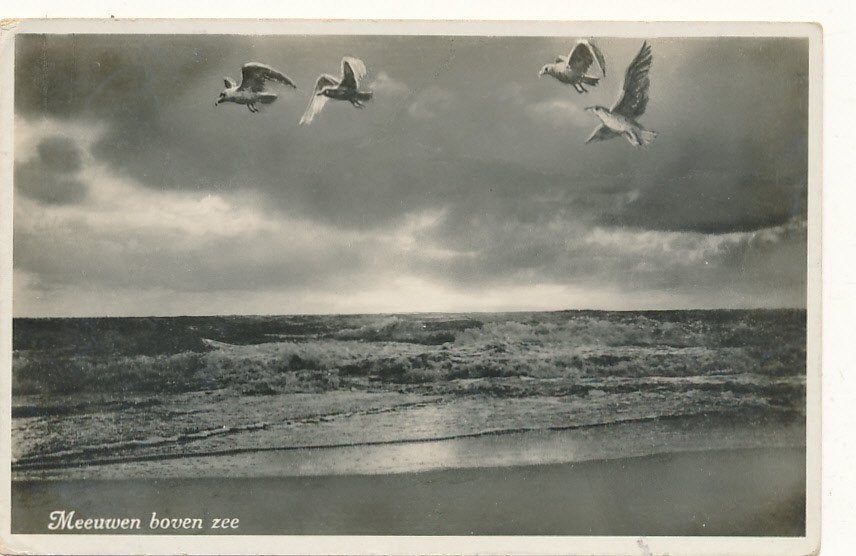 11237 Meeuwen boven Zee, Ophalen of Verzenden, 1920 tot 1940, Noord-Holland