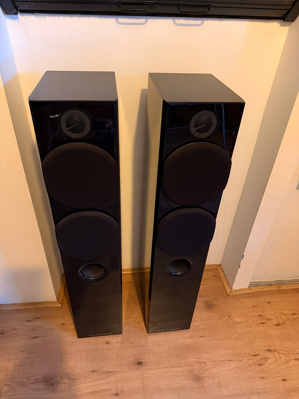Triangle Colonne Special Edition High-End Vloerstaande Speak, Audio, Tv en Foto, Luidsprekers, Ophalen, Gebruikt, Overige merken