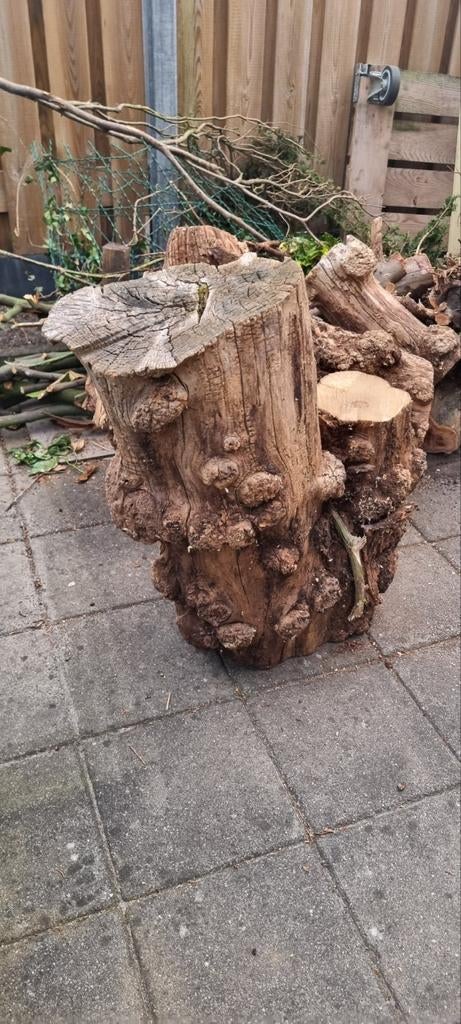 Bijzondere oude boomstammen / wortelhout – ruim 55 jaar oud, Minder dan 3 m³, Ophalen