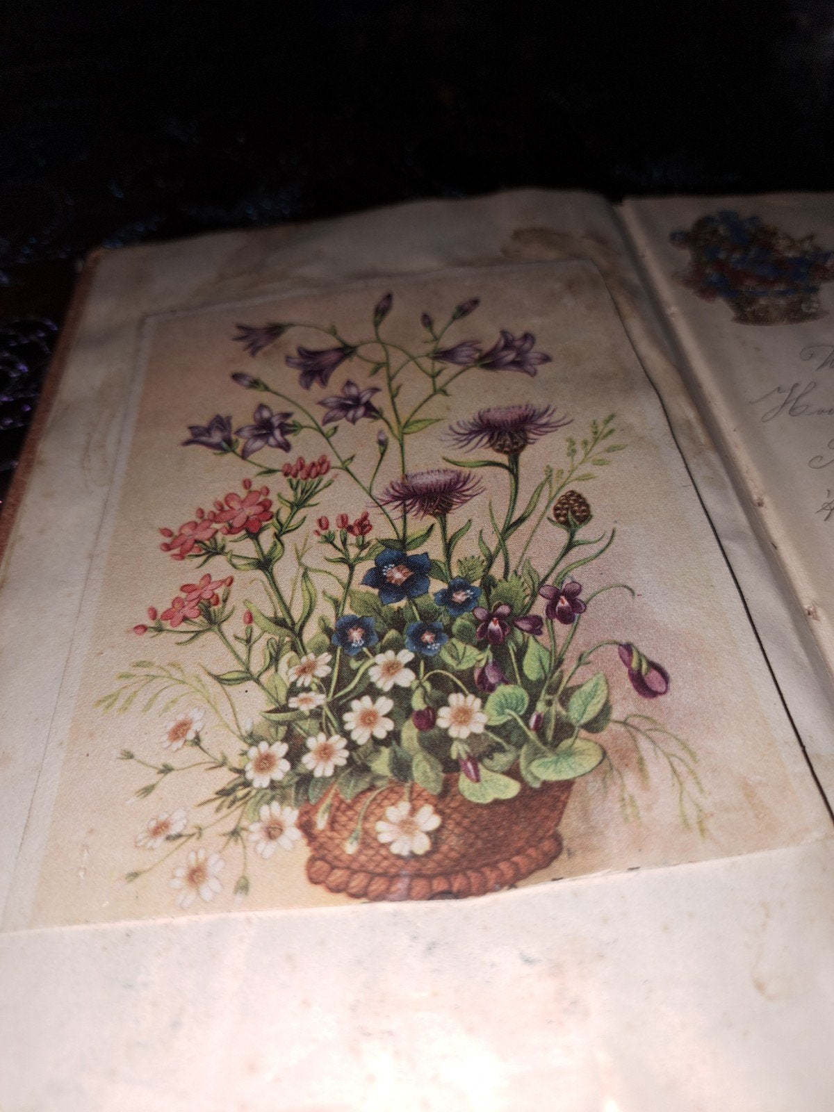 Poesie  album  te koop, Ophalen of Verzenden