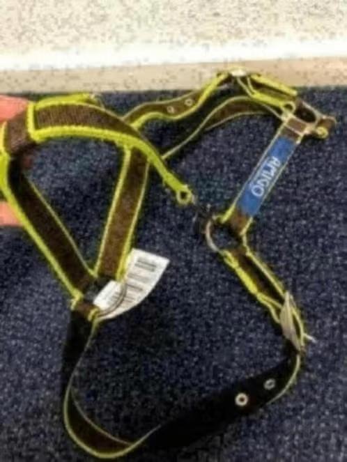 NIEUW! Horseware Amigo Halster Pony DHRH40-NNRT-PY € 10,99, Dieren en Toebehoren, Paarden en Pony's | Hoofdstellen en Tuigage