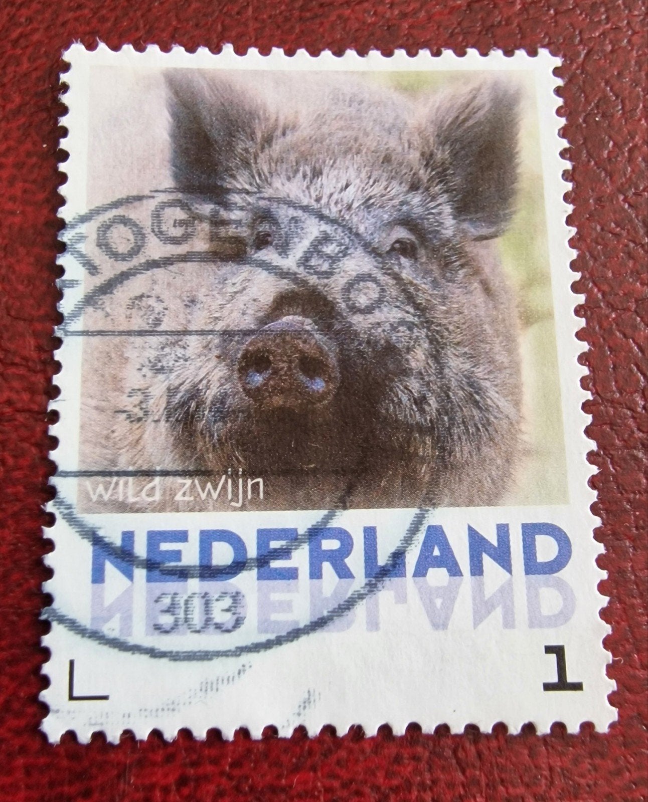 kv36 persoonlijke Postzegel Wild Zwijn - Gestempeld, Ophalen of Verzenden, Na 1940, Gestempeld