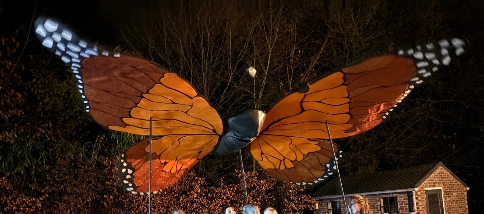 (Carnavals)decoratie van Foam, Ophalen, Gebruikt, Handgemaakt, Dieren