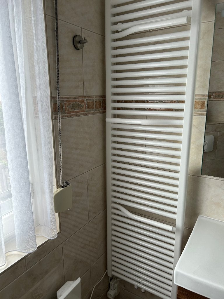 Design Radiator, Ophalen, 30 tot 80 cm, 500 tot 800 watt, Radiator