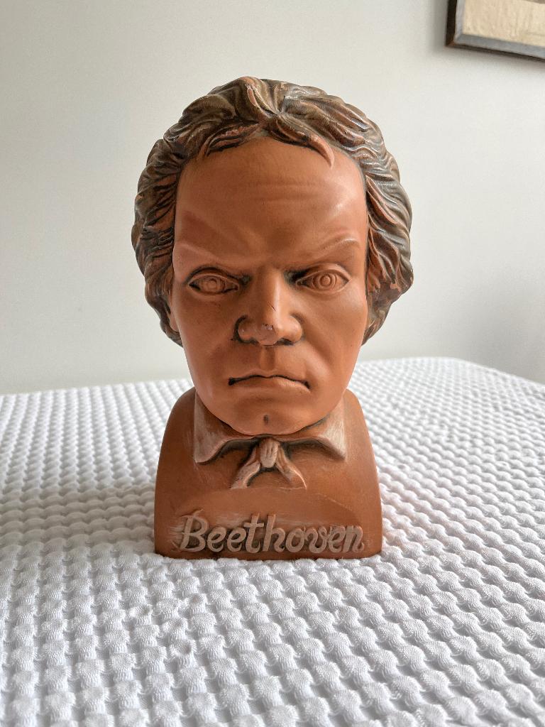Buste Beethoven Terracotta (5), Antiek en Kunst, Ophalen of Verzenden