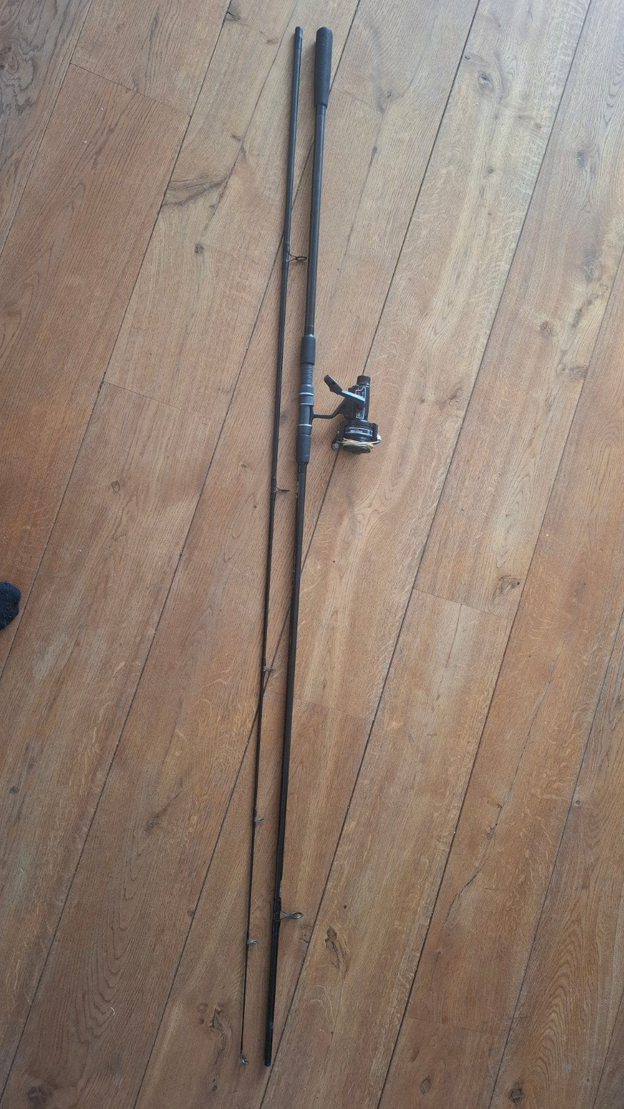 DAM Carp Ace 360/12ft Karperhengel met Ranger 300 RD Molen, Watersport en Boten, Ophalen, Gebruikt, Complete hengel