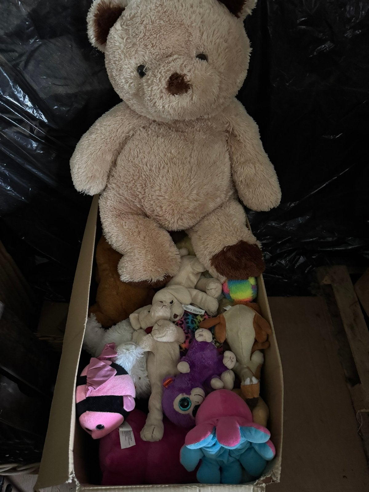 Knuffels, N, Ophalen of Verzenden, N, N