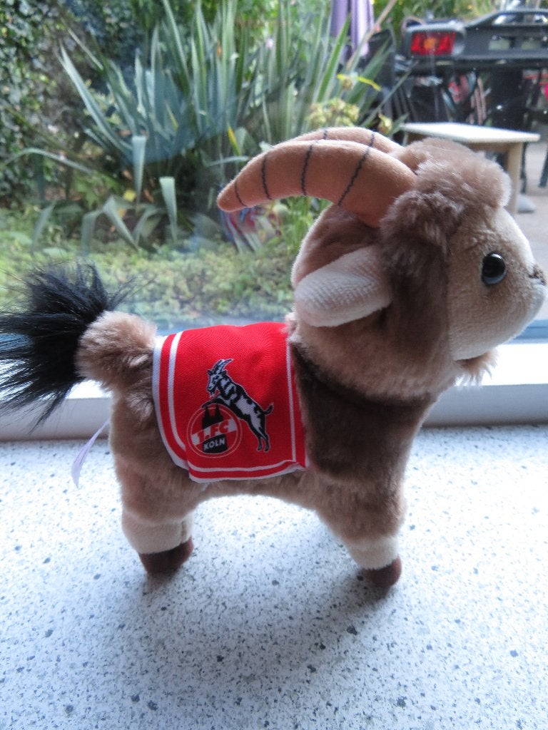Geit geitje bok bokje steenbok van F.C.Köln, Ophalen of Verzenden, Zo goed als nieuw, Overige typen, Wasbaar