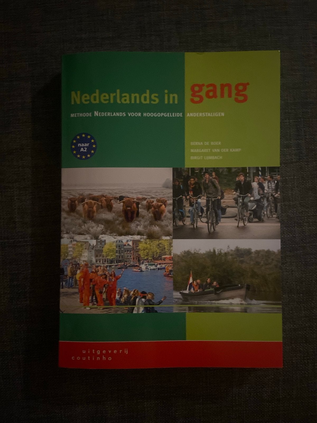 Nederlands in gang - Methode Nederlands voor hoogopgeleide, Boeken, Verzenden, Alpha, Gelezen, Overige niveaus