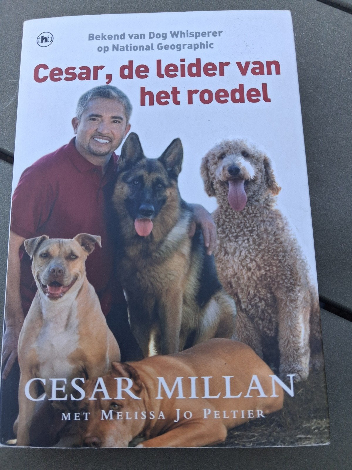 Cesar Millan - Cesar, de leider van het roedel (Hondenboek), Ophalen of Verzenden, Gelezen, Honden, Cesar Millan