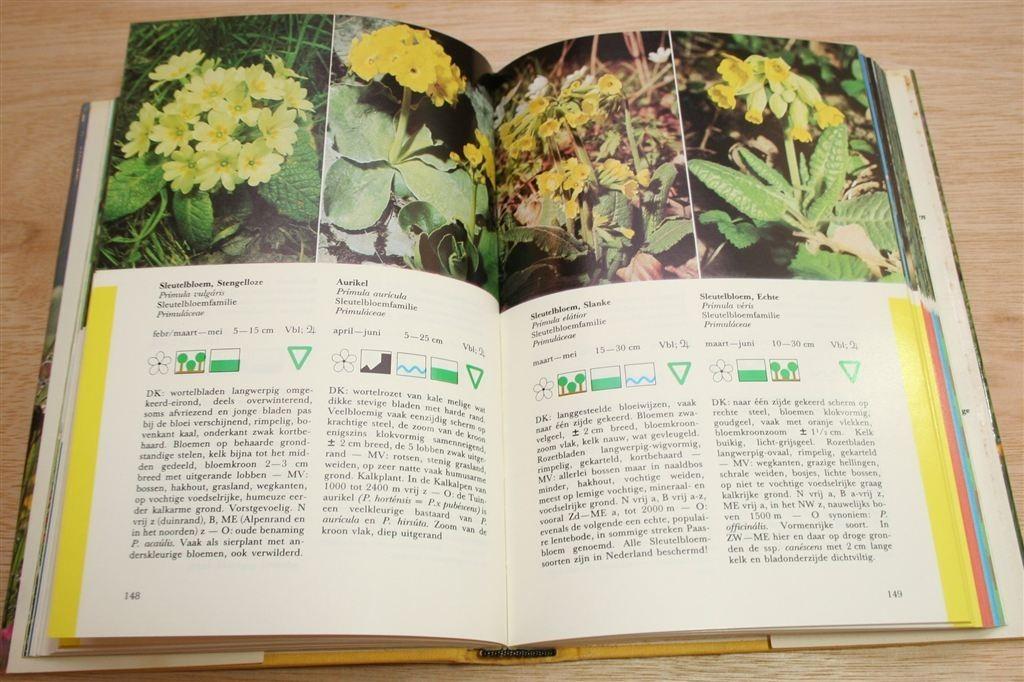 Thieme's Veldflora — 600 West- en Middeneuropese Planten, Ophalen of Verzenden, Gelezen, Bloemen, Planten en Bomen
