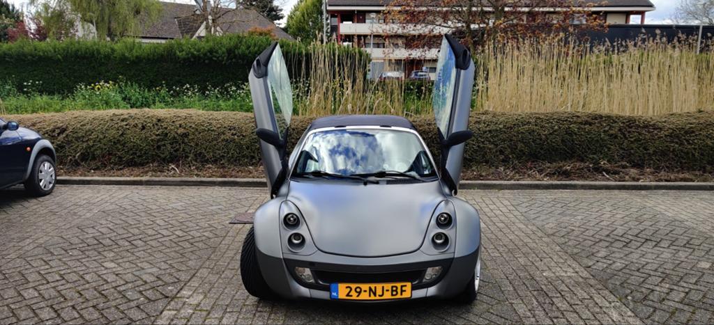 Smart smart Roadster