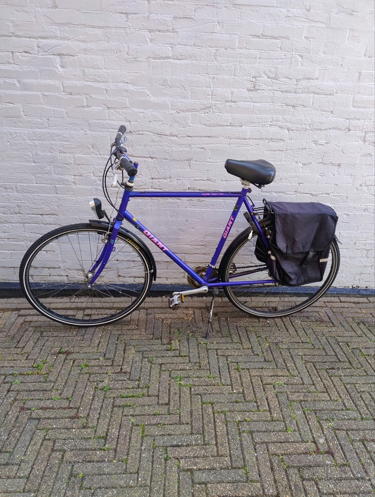 Giant Custom Super Lite Fiets, Fietsen en Brommers, Fietsen | Heren | Herenfietsen, Gebruikt, Giant, Versnellingen, Ophalen