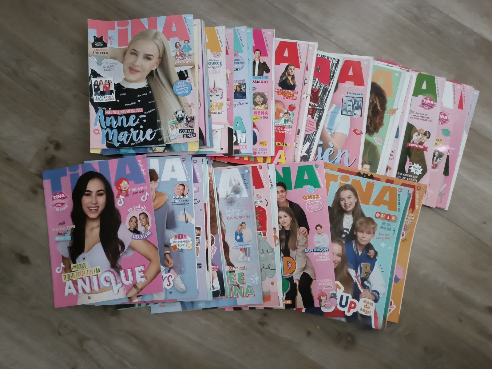 55 stuks Tina, Ophalen, Gelezen, Overige typen