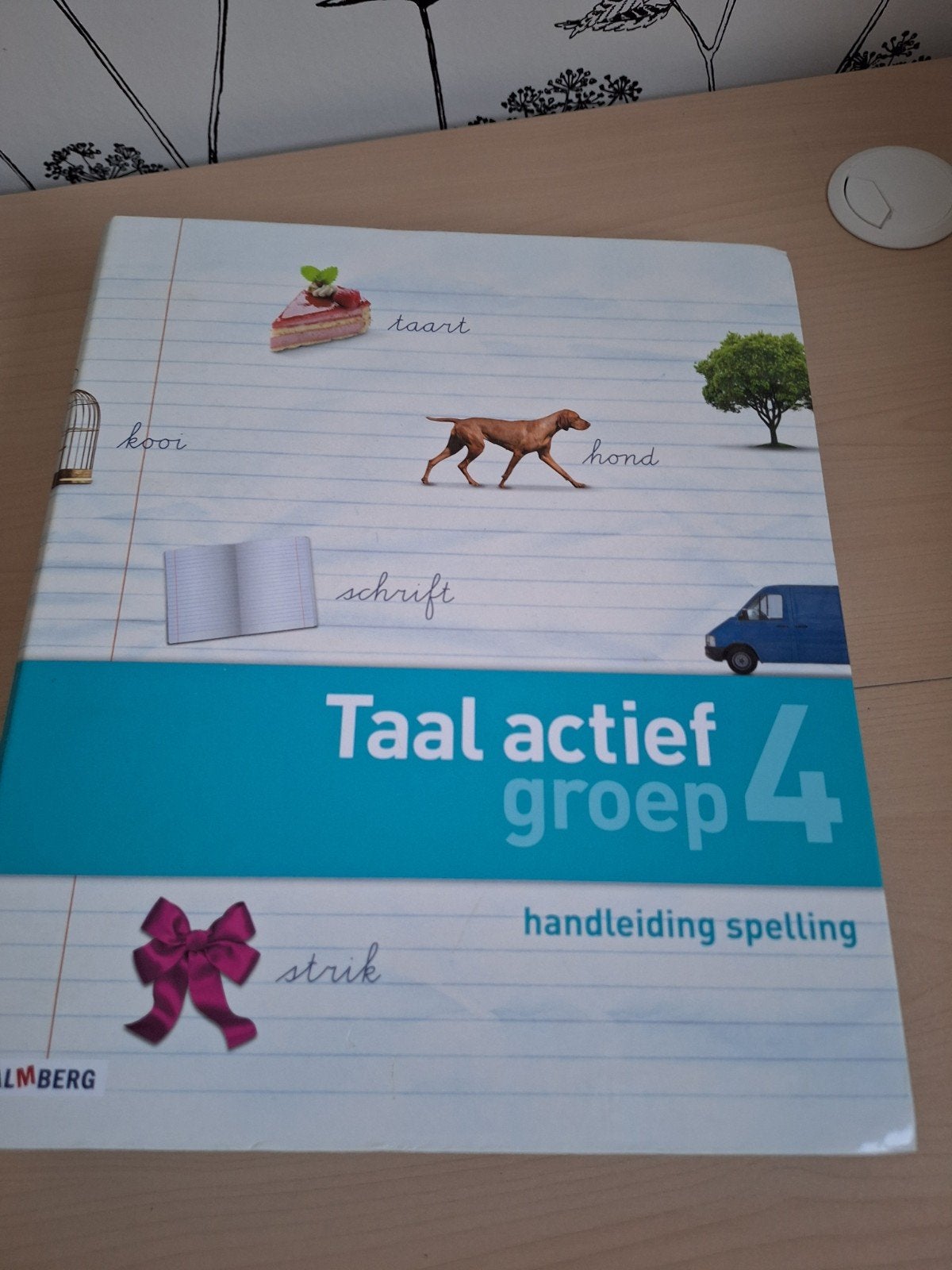 Handleiding spelling groep 4, Ophalen of Verzenden, Overige niveaus, Nederlands