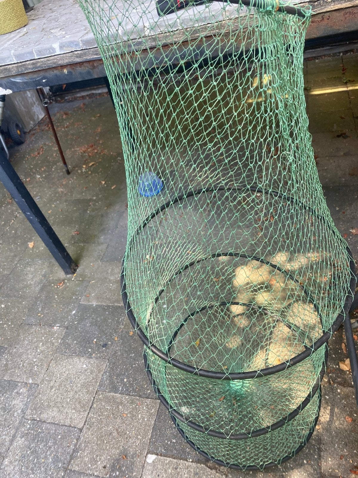 Leefnet - Handig voor het bewaren van vis, Ophalen of Verzenden, Gebruikt, Net of Fuik