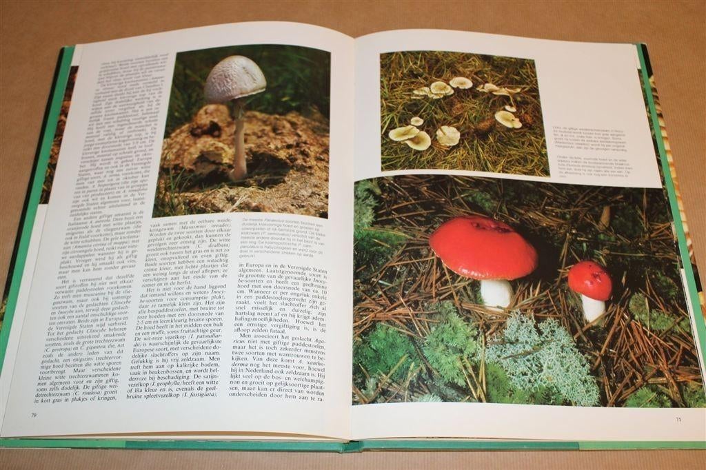 De Kleurrijke Wereld van de Paddestoel [1977] — Vintage, Ophalen of Verzenden, Gelezen, Natuur algemeen