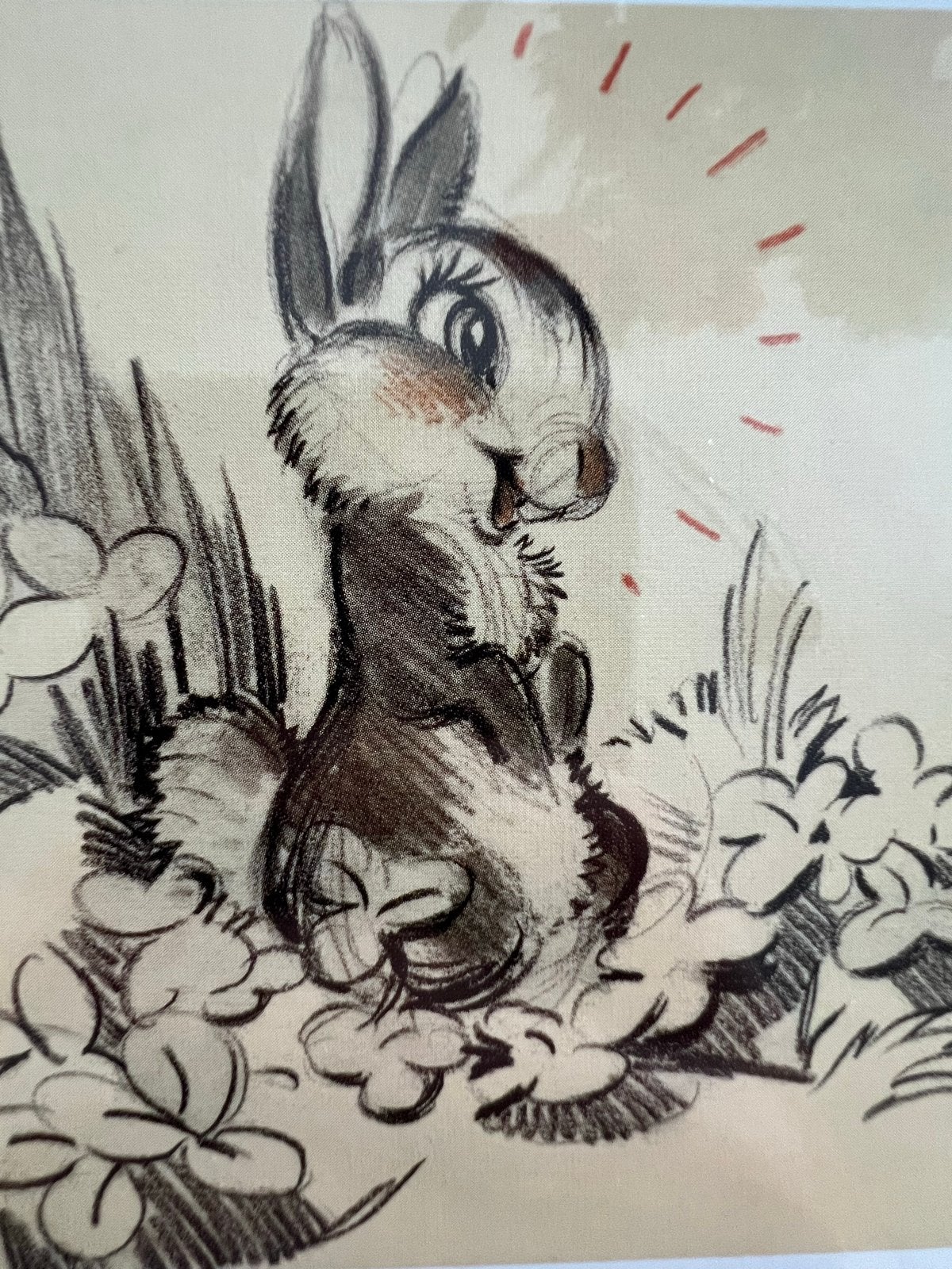 Disney kunstkaart Bambi in lijst 13x18 cm, Beige, Ophalen of Verzenden, Zo goed als nieuw, Fotolijst